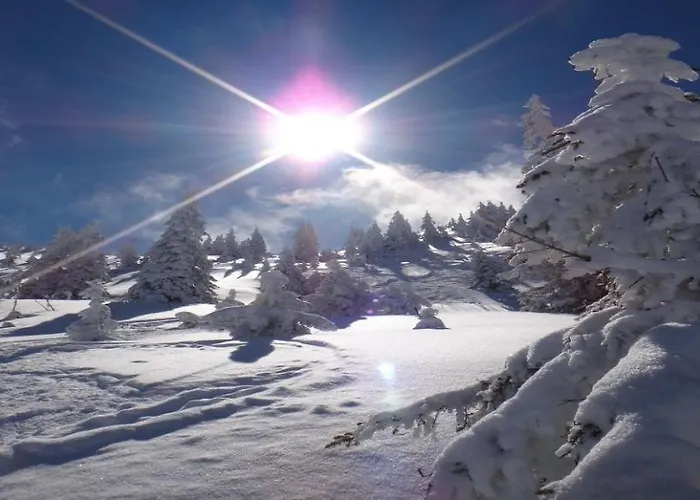 Gaisberg By Managers Chalet Kirchberg en Tyrol